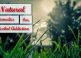 Looking For Natural Remedies For Alcohol Addiction, Consider These