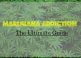 Marijuana Addiction: High Or Psychotic?