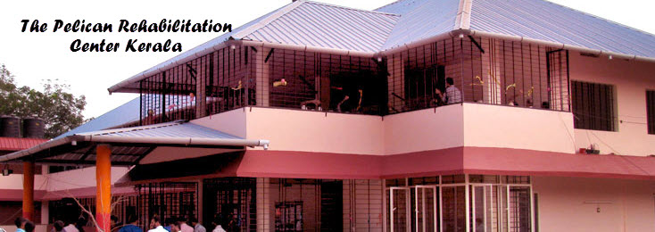 The Pelican Rehabilitation Center Kerala