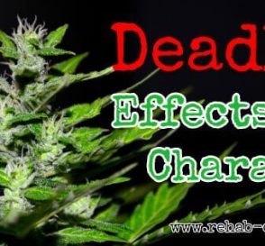 7 Deadly Effects of Charas/Cannabis